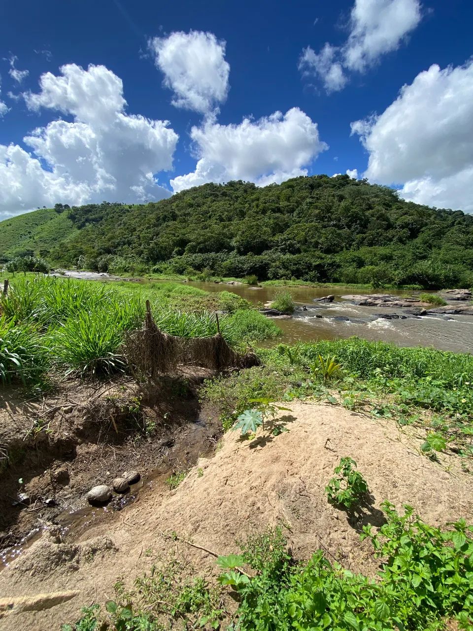 Sítio com 17,5 hectares União Dos Palmares 