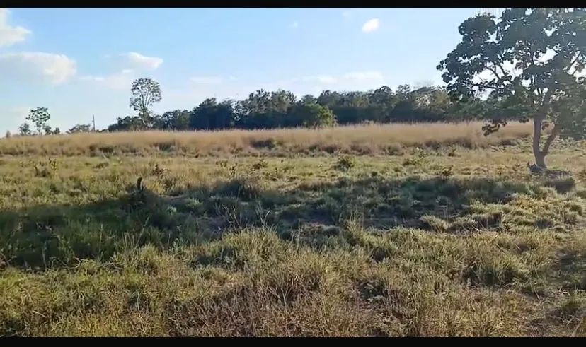 SÍTIO  ESCRITURADO 20 HECTARES PERTO CBA  - Foto 4