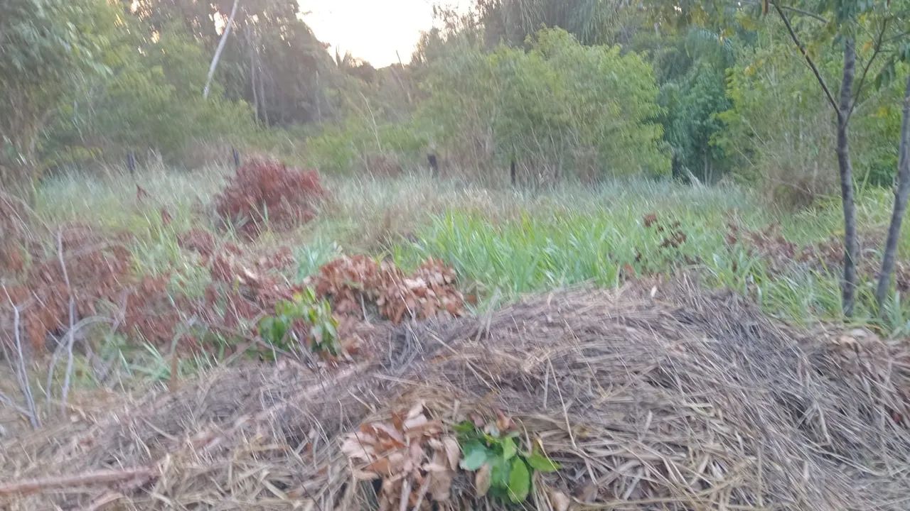 Lote a venda  - Foto 4
