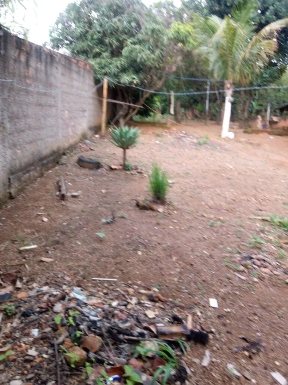 Chácara 1.700 m² - (Setor Sul - GAMA-DF) - Foto 4