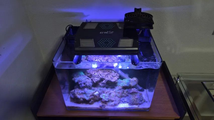 Aquario Marinho Nano Reef Completo Vidro Curvo Ocean Tech - Foto 3