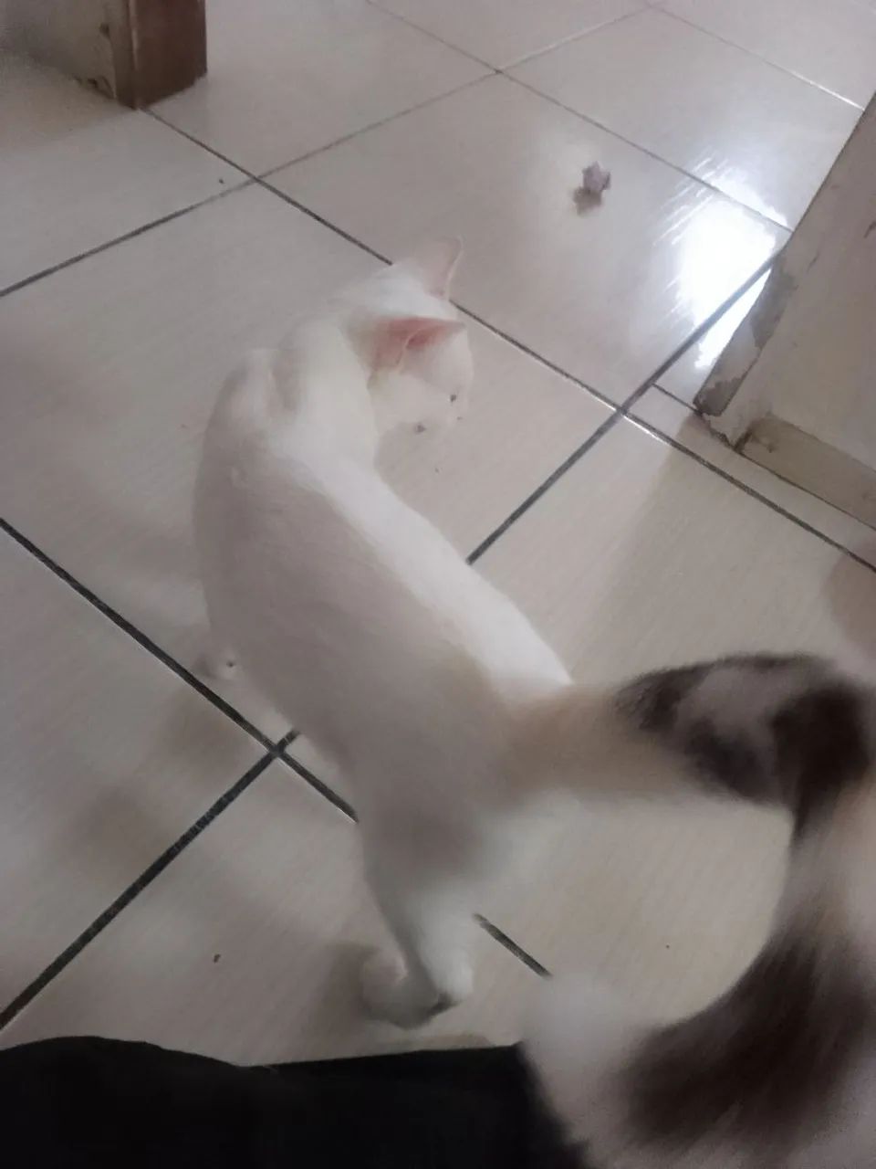 A doação consciente  - Foto 2