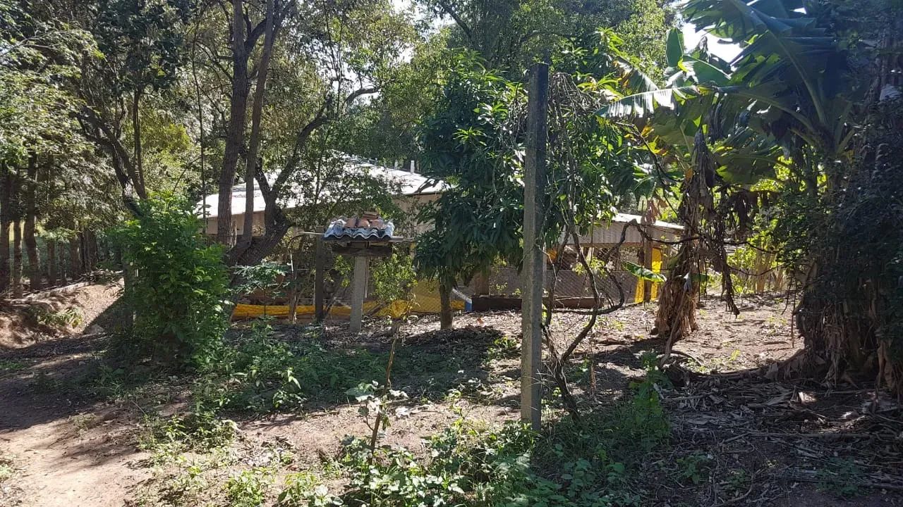VENDO EXCELENTE SÍTIO EM CONCHAS-SP - Foto 2