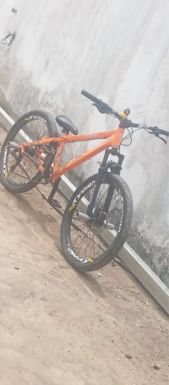 Viking X - Foto 2