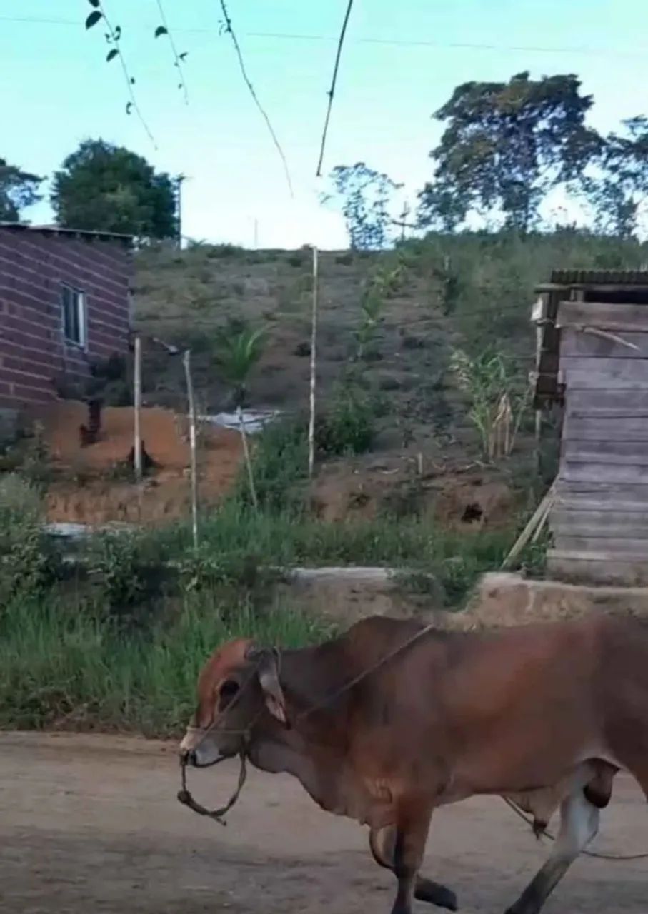 Terreno a venda em  Itacaré / Taboquinhas  - Foto 2