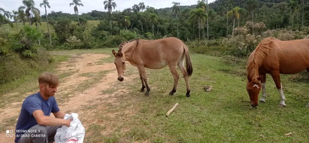 Mula pega com manga larga. - Foto 2