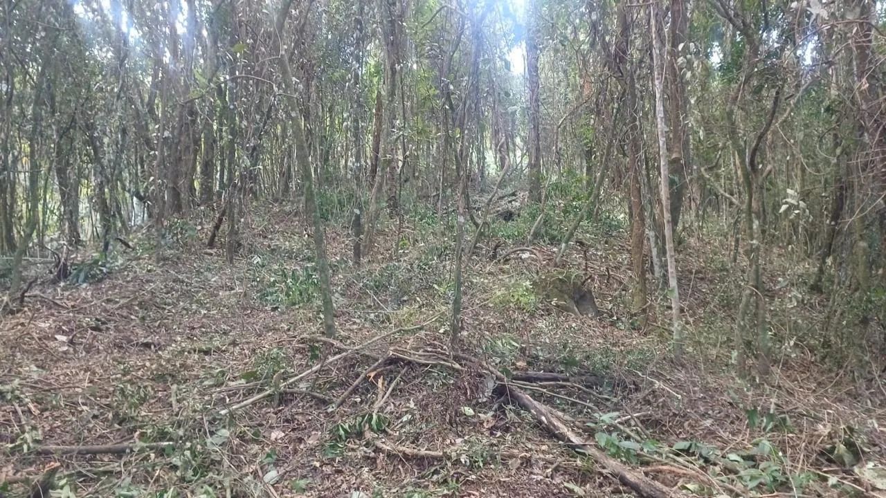 Lote no Condomínio Jardins de Petrópolis - Foto 3