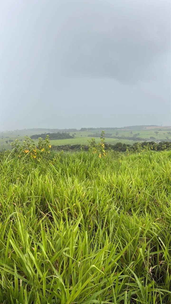 Fazenda em Itauçu GO - Foto 2