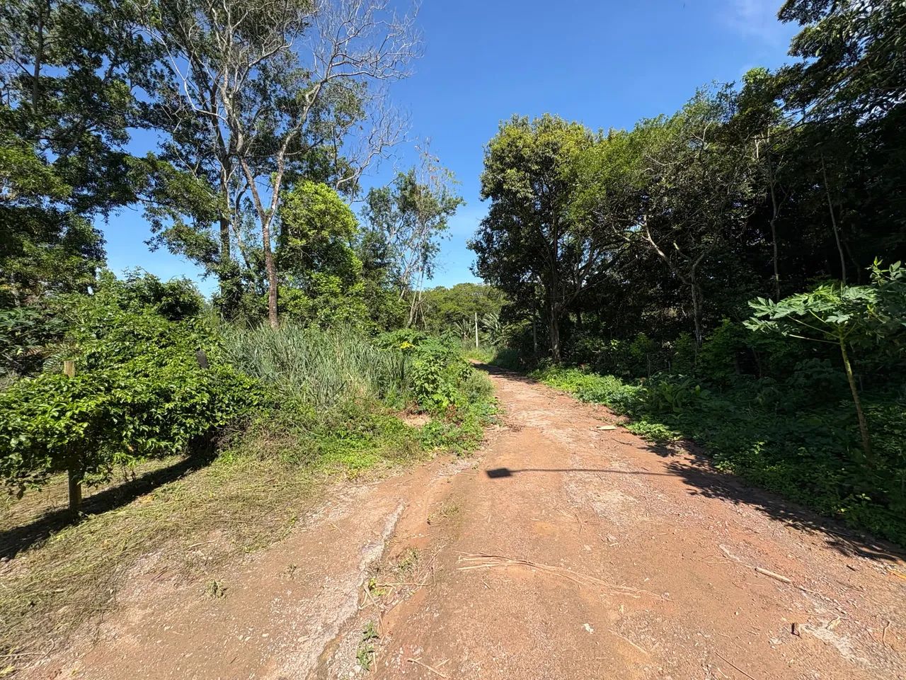 Vendo Terreno Recanto dos Profetas - Foto 4