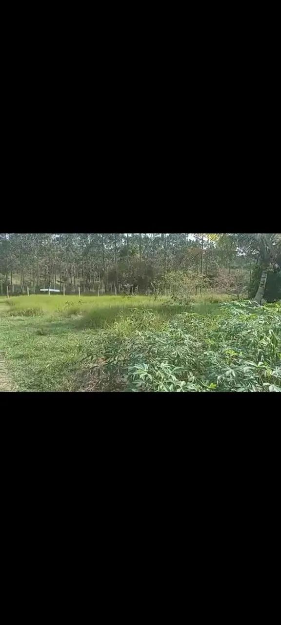 Vendo sítio - itaporanga d'Ajuda - povoado paruí 