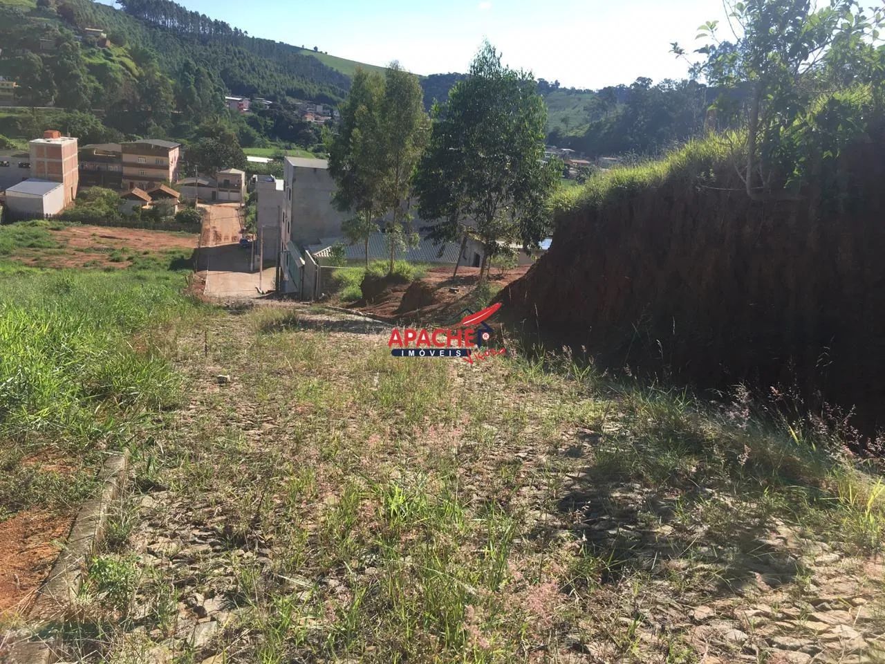 Lote 260 m² - Ervália - Foto 5