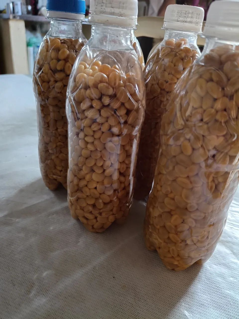 Vendo Soja para pescar  - Foto 4