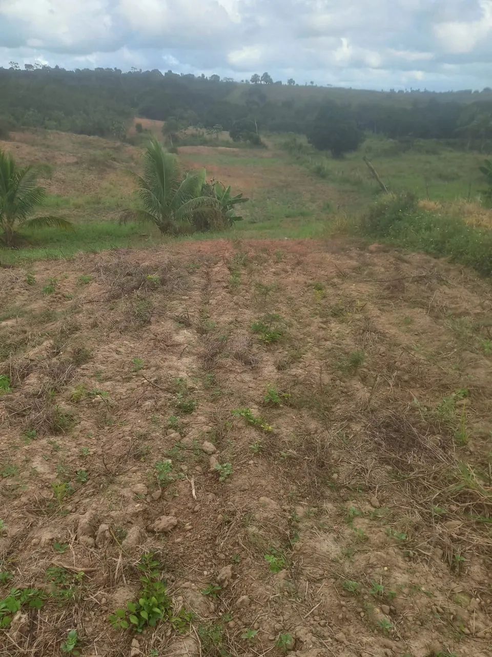 Terreno em salgado 