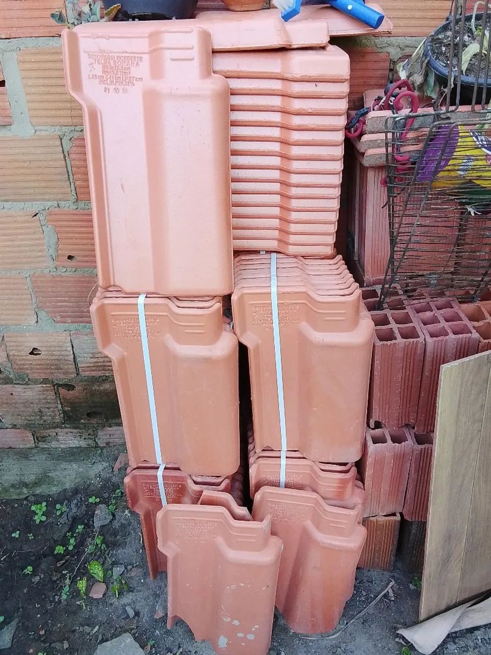Tenhas simomassi romana  - Foto 2