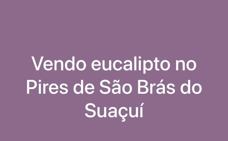Eucalipto