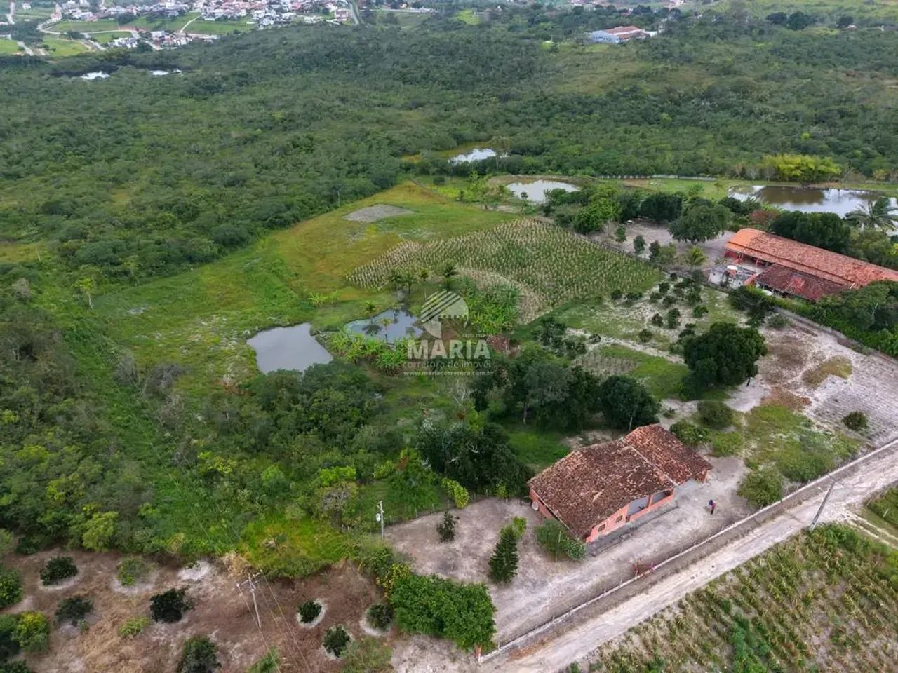 Sítio com 02 hectares à venda em Chã Grande/PE! - Foto 5
