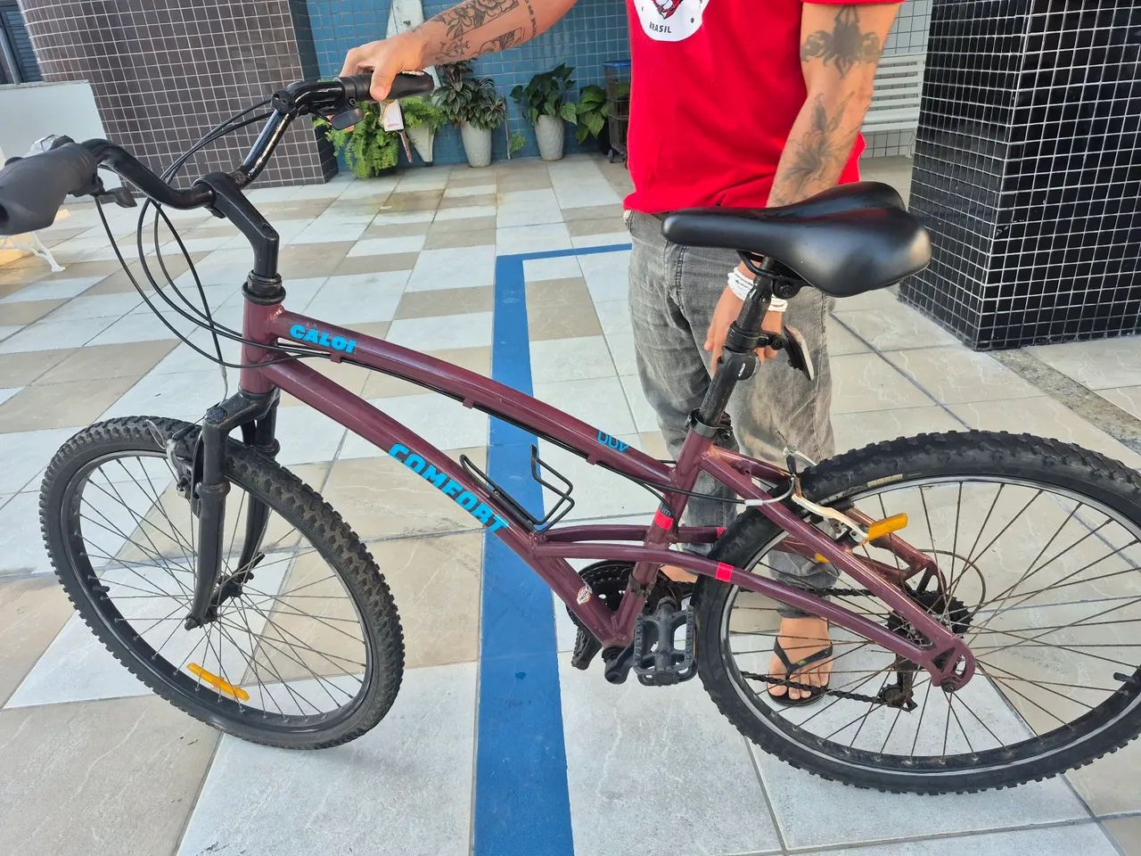 Bicicleta 