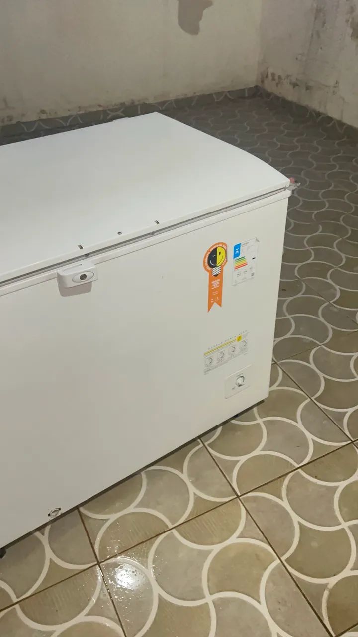 Frezzer Eletrolux 314 Litros  - Foto 2