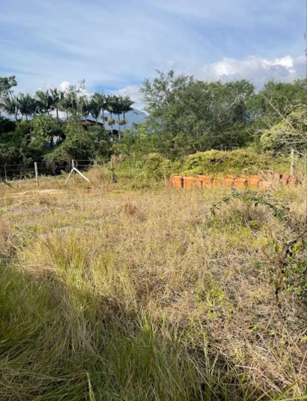 Terreno em Santo Amaro da Imperatriz  - Foto 4