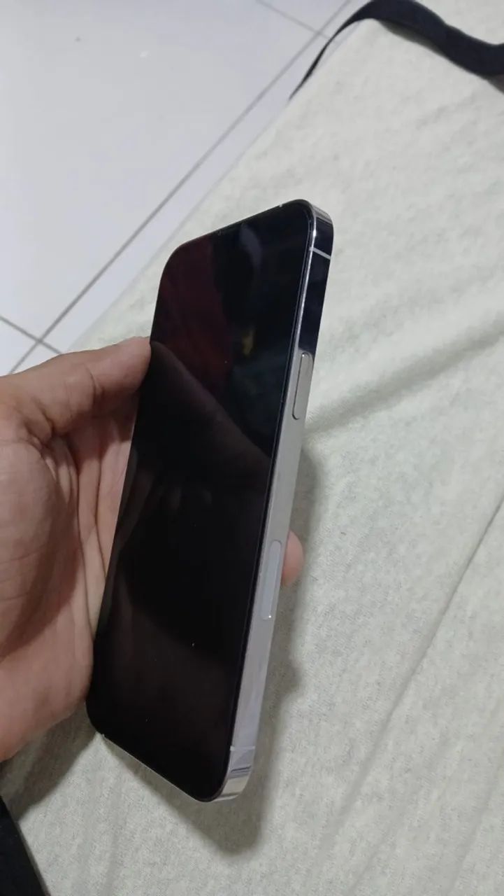 iPhone 13 Pro Max 256 gb
