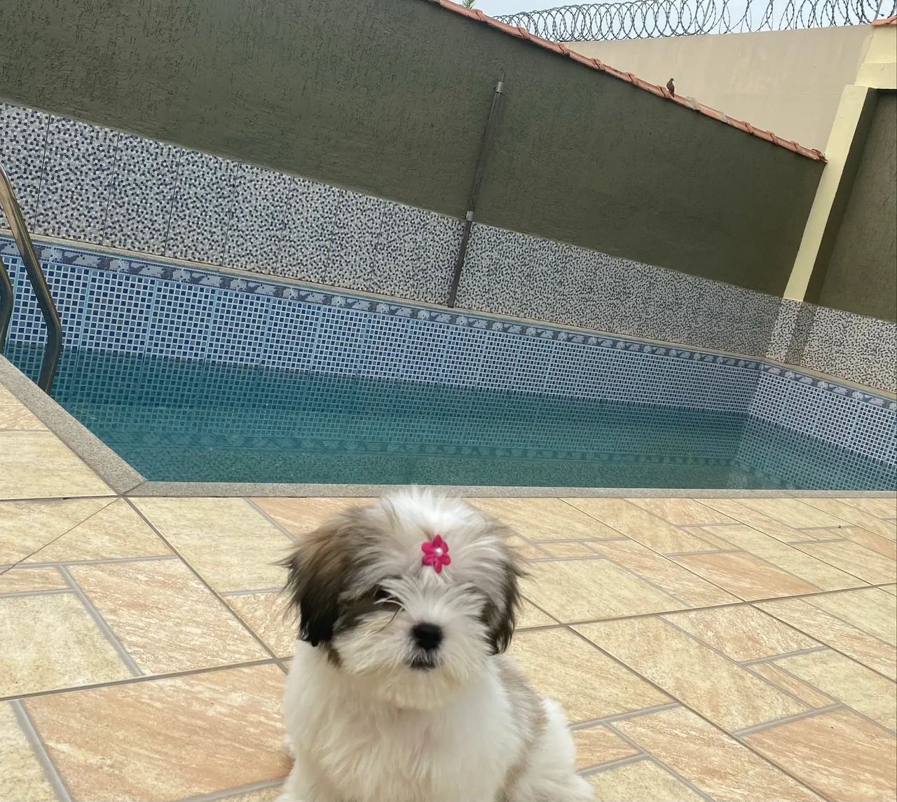 CASA NO BAIRRO BOSQUE - Foto 2