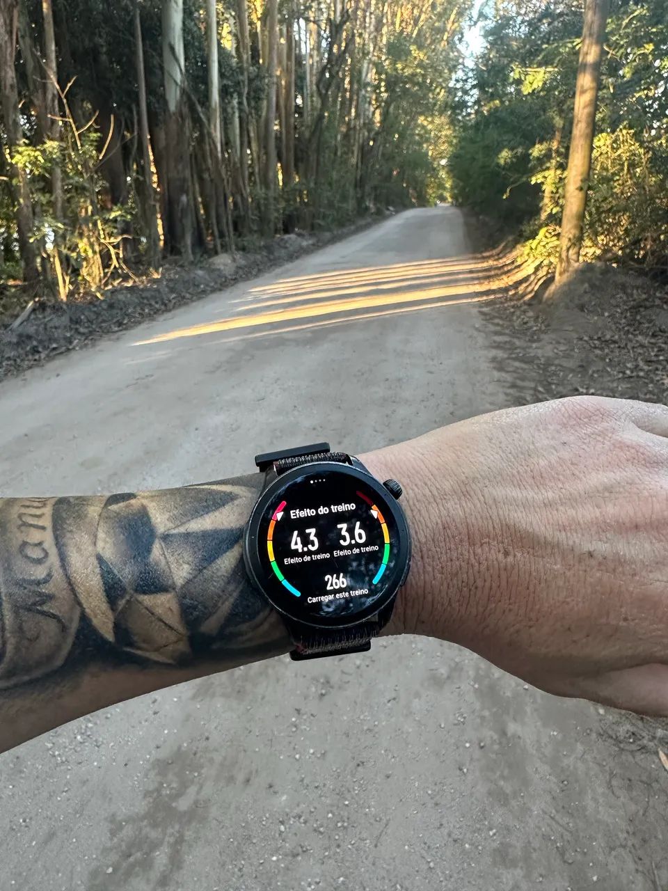 Amazfit Gtr 4 - Foto 2