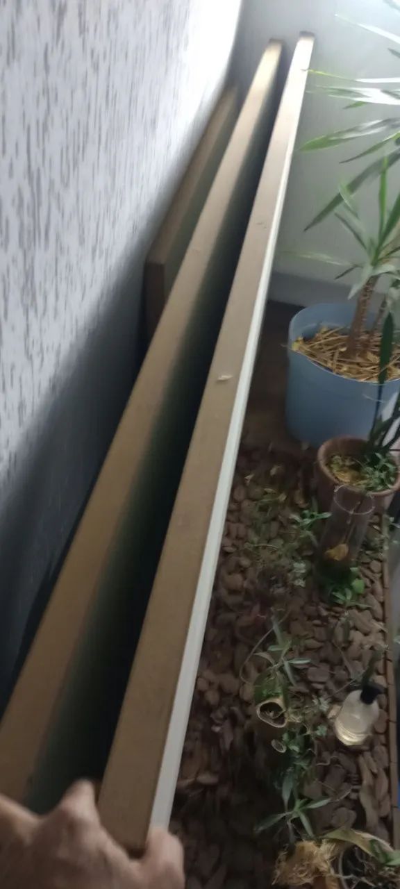Doação  - Foto 2