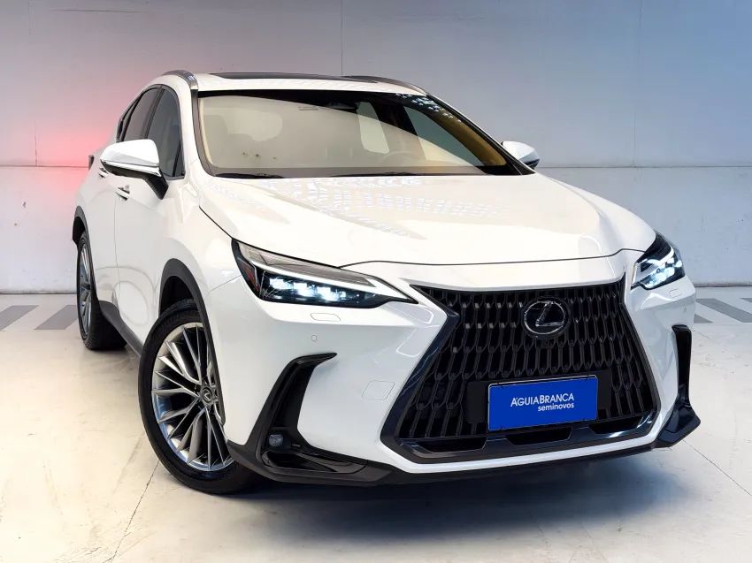 Lexus NX-350h Luxury 2.5 16V Aut. (hybrid), foto 5 de 19