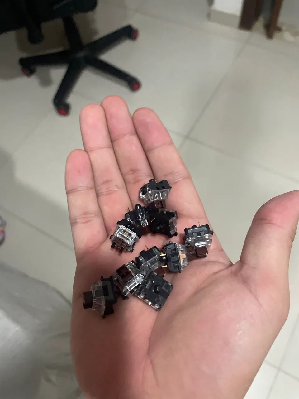 Switches brown redragon novos 