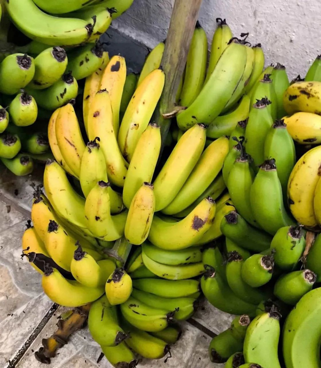 Melancia, Laranja e Mamão + entrega à domicílio  - Foto 5