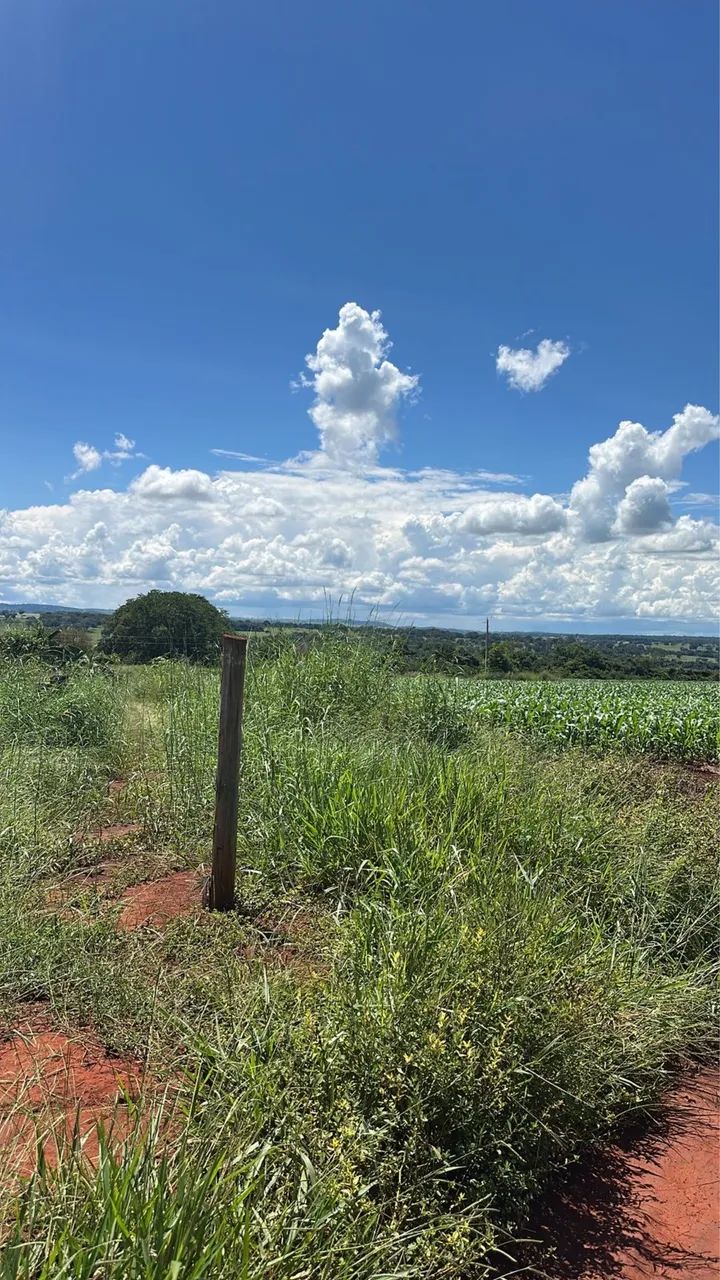 Foto - Goianira - Área Rural