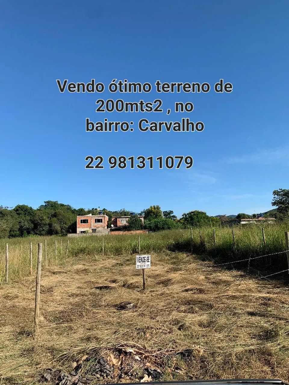 Foto - Santo Antônio de Pádua - 