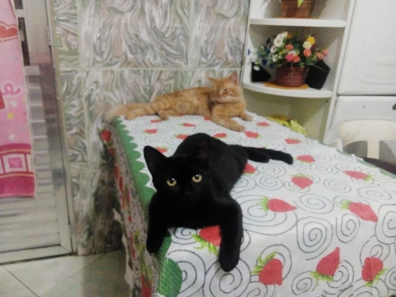 Foto - São Paulo - Jardim São Luís (Zona Norte)