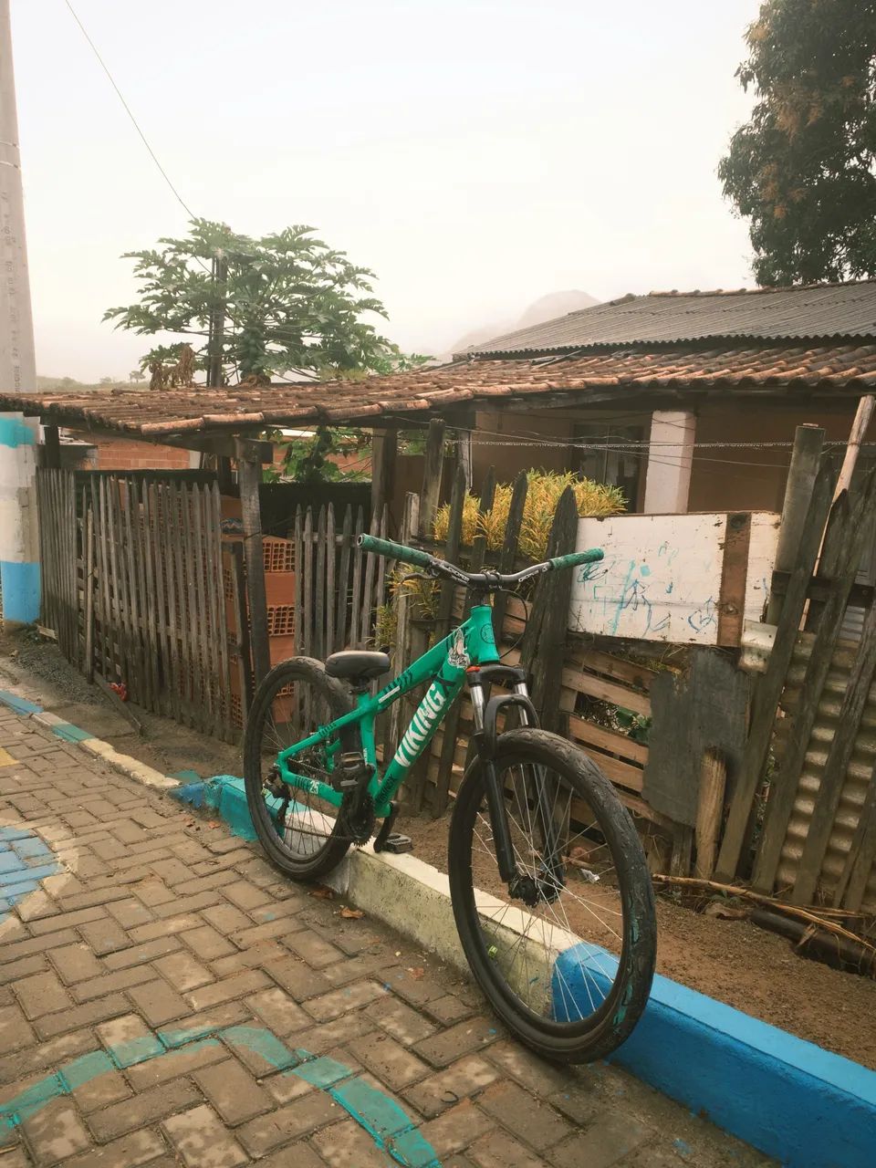 Bike viking x