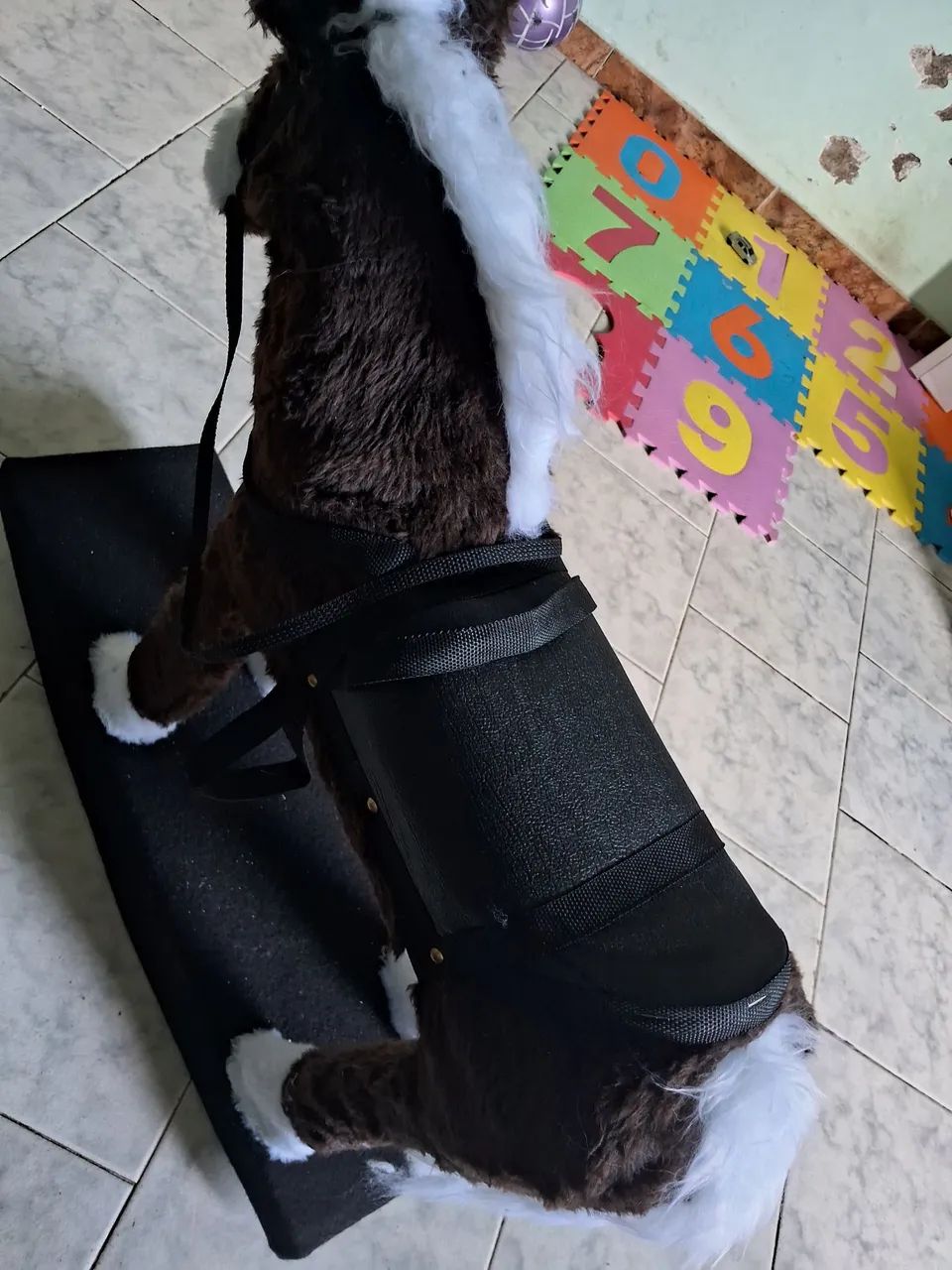 Cavalinho de balanço  - Foto 3