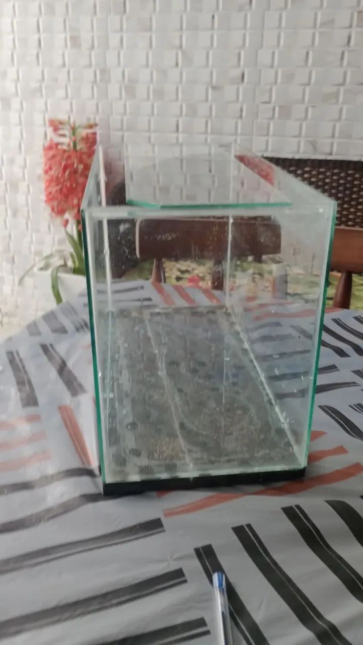 Aquário  - Foto 3