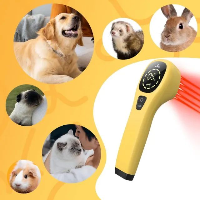 Laser para Terapia Para Cães e Gatos - Novo - Na caixa