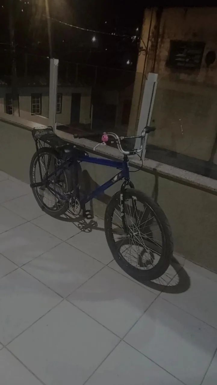 Baik Montadinha aro 26 estilo bh