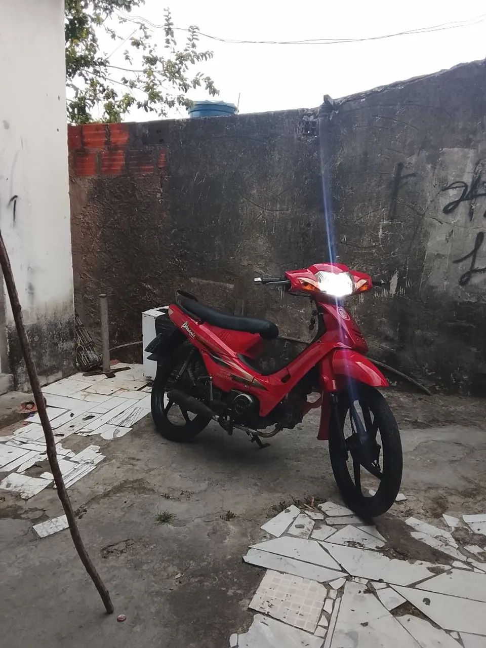 Moto boa 
