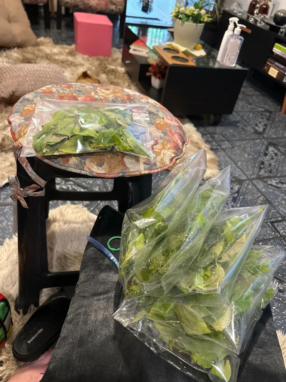 Ora-pro-nobis (maço) - Foto 2