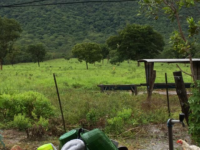 Chácara/Sítio 25 Hectares - Foto 10