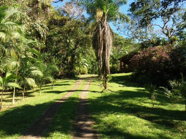 Lindo sítio em Morretes ideal para exploração com turismo - Foto 14