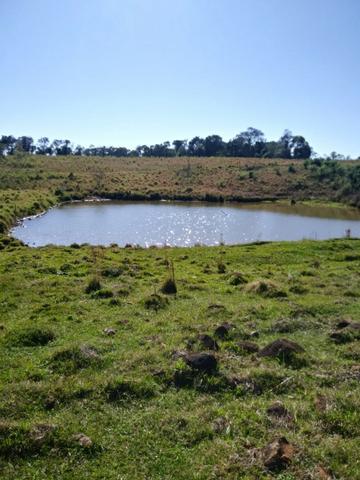 Otima fazendinha - Foto 10