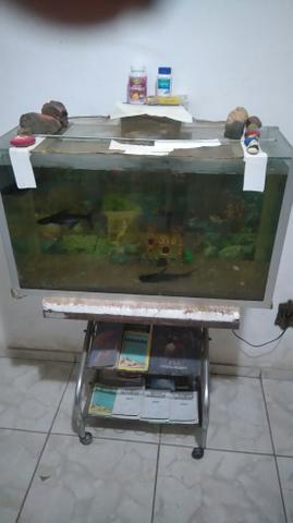Vendo aquário com suporte de mesa e com uma bomba grande