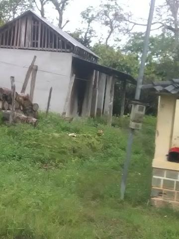 Vendo sitio em Gandu BA