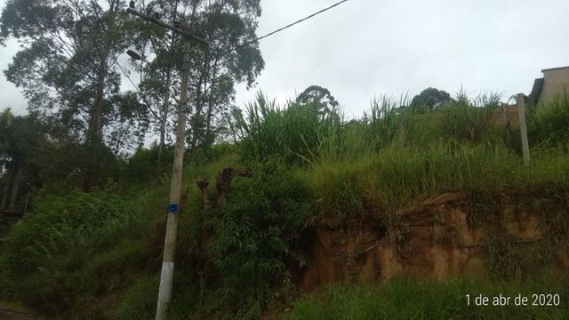 Edinaldo Santos - Grama - terreno 4.000m² exc. localização - Foto 6