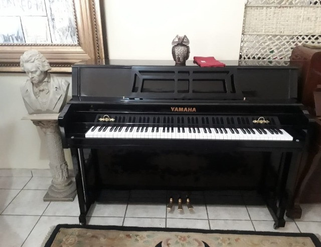 ShowRoom C/ Pianos Samick -Suzuki - Yamaha - Zietter - Steinway & Outros CasaDePianos - Foto 2