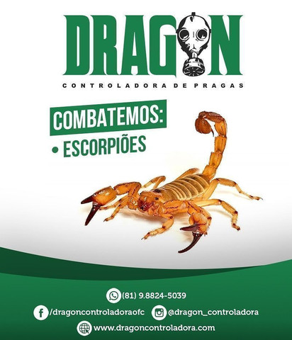 Achou Escorpião? Não é normal