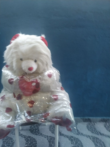 Urso muito grande