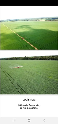 Vende se Fazenda de 6.691 Alq em Brasnort-MT 